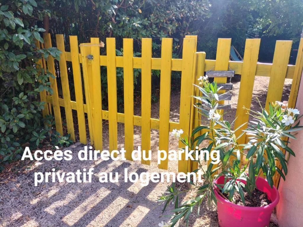 Вілла Calme Et Intimite Proche Avignon Piscine Options Au Choix Privee Ou Partagee De Juin A Octobre Morieres-les-Avignon Екстер'єр фото